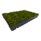 Модул за озеленяване на покриви ECOSEDUM Pack Classic