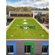 Модул за озеленяване на покриви ECOSEDUM Pack Classic