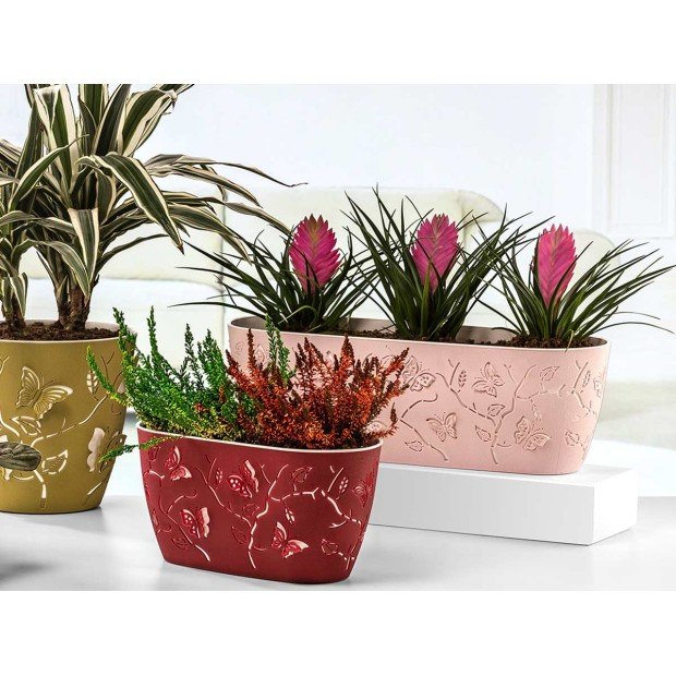 Сандъче 3D Пеперуда 29 cm. – 1 - Сандъче 3D Пеперуда 29 cm. – 1 - Сандъче 3D Пеперуда 29 cm. – 1 в категория