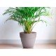Саксия Gardena с дренаж Ø35cm - Саксия Gardena с дренаж Ø35cm - Саксия Gardena с дренаж Ø35cm в категория
