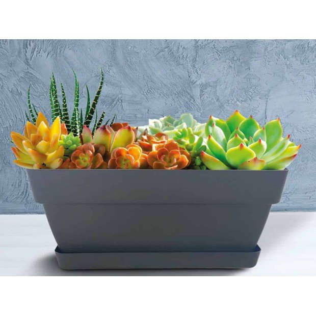 Сандъче Gardena с подложка 40cm - Сандъче Gardena с подложка 40cm - Сандъче Gardena с подложка 40cm в категория