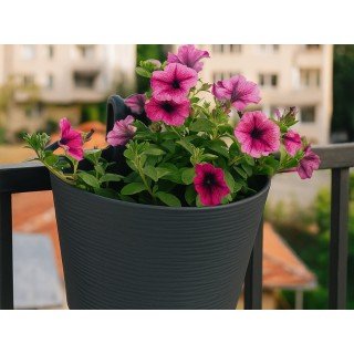 Саксия за балкон Donna 30cm Саксия за балкон Donna 30cm